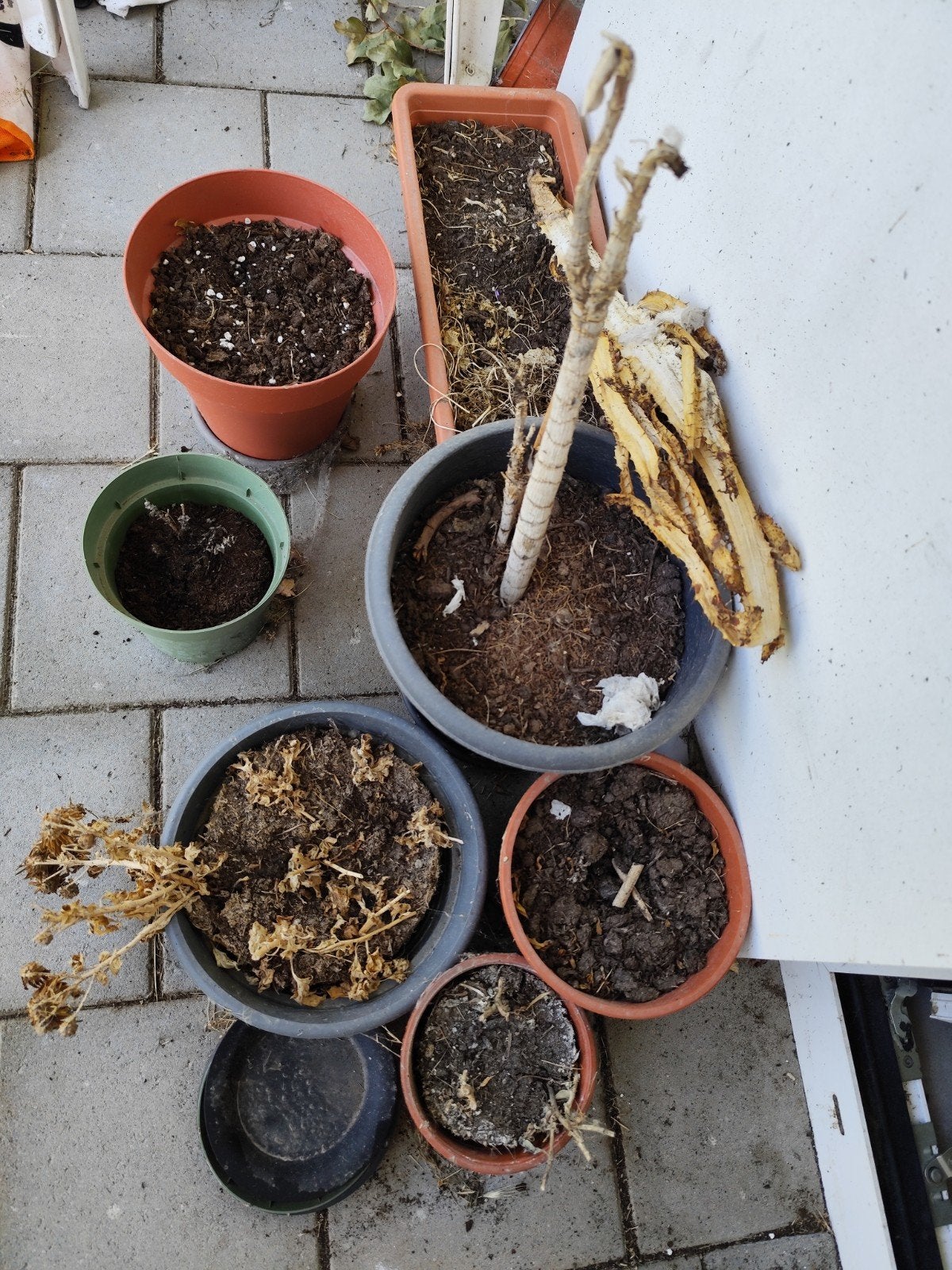 Gratis plantenpotten, Ophalen