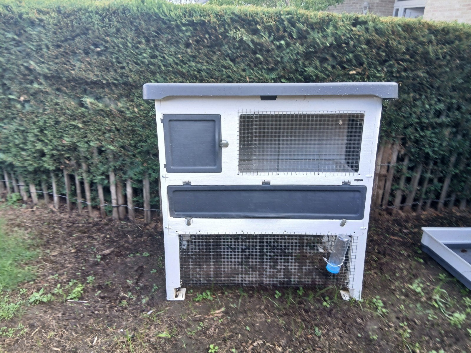Ferplast konijnenhok, Dieren en Toebehoren, 90 cm of meer, Hok, Ophalen, Cavia