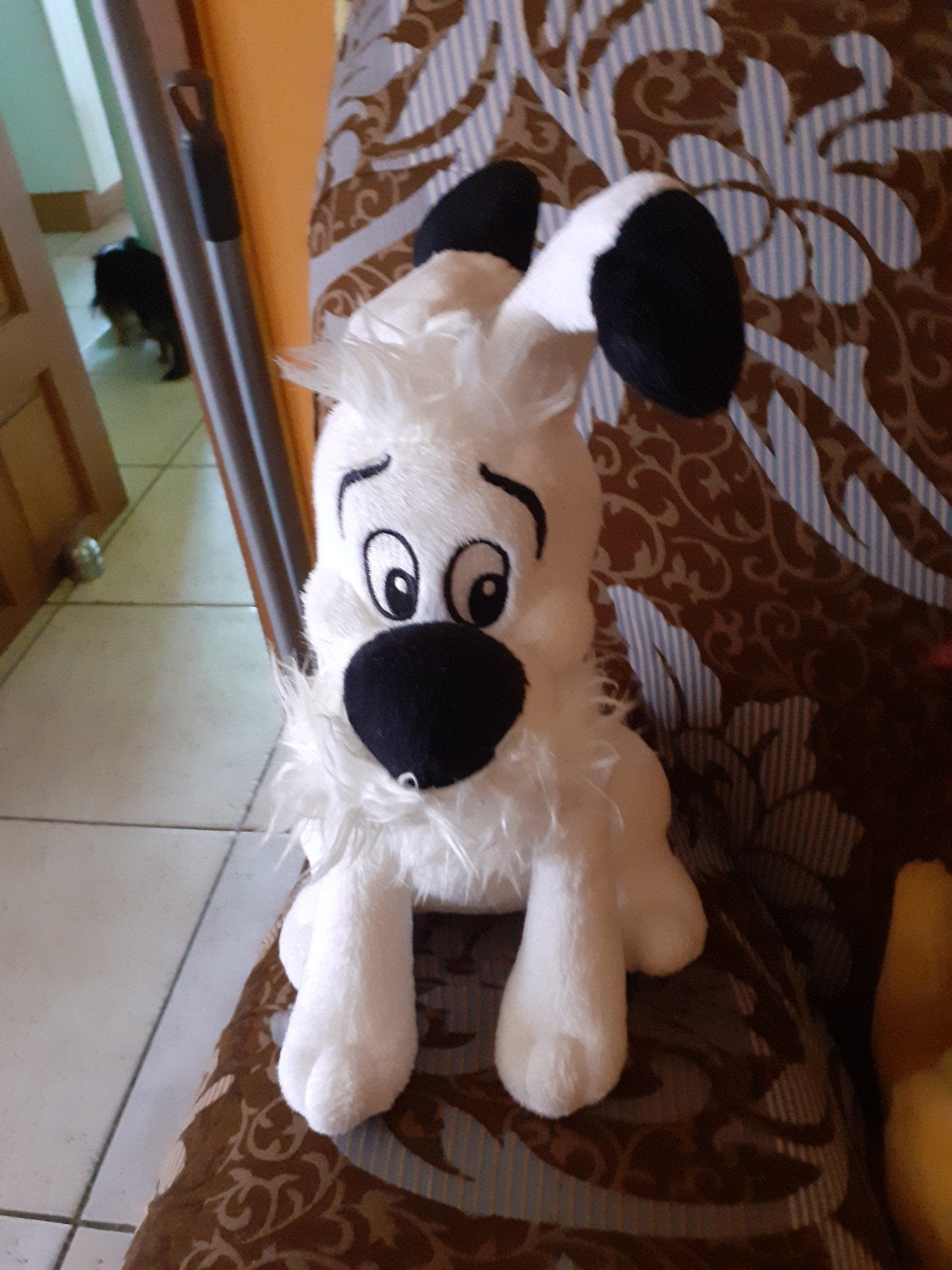 Chien idefix, Enlèvement, Chien