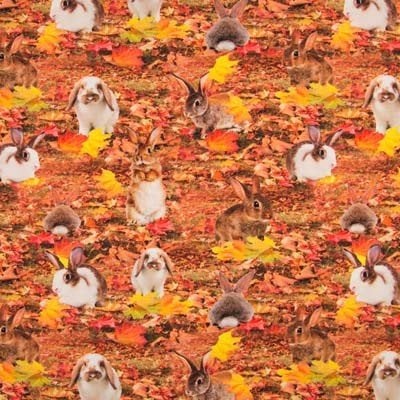 Outlet : Jersey stof digitaal met konijntjes, Hobby & Loisirs créatifs, Tissus & Chiffons, Neuf, Autres couleurs, Coton, 120 cm ou plus