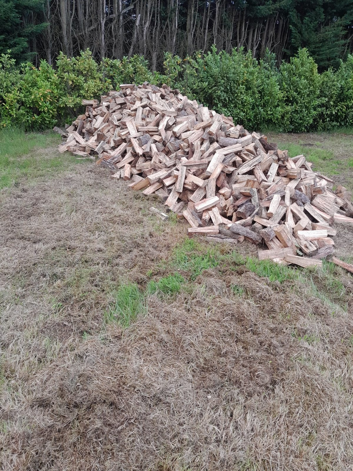 Mât clivé/séché, Jardin & Terrasse, Bois de chauffage, 6 m³ ou plus, Enlèvement ou Envoi, Autres essences de bois, Bûches