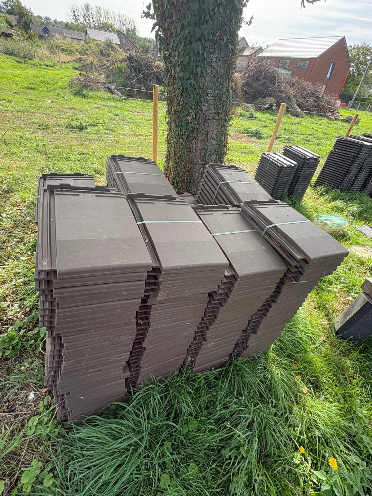 Lot de tuiles (plusieurs sortes), Bricolage & Construction, Enlèvement, Comme neuf, Tuiles