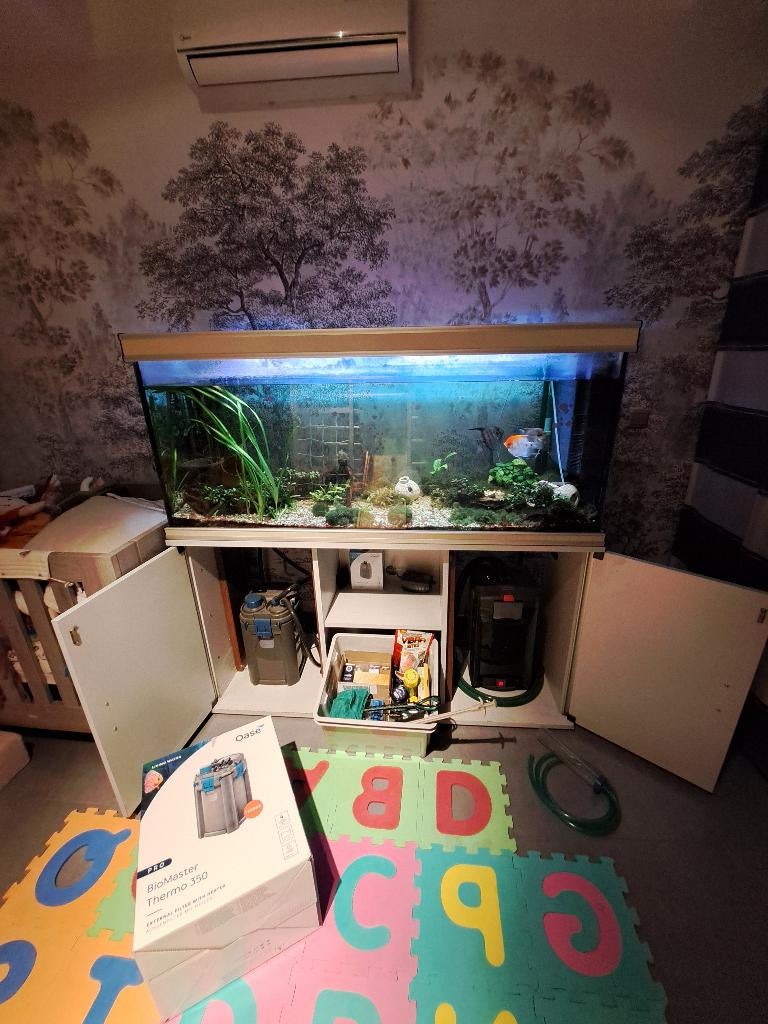 Aquarium met maanvissen, Dieren en Toebehoren, Ophalen, Gebruikt, Overige merken, Inclusief vissen