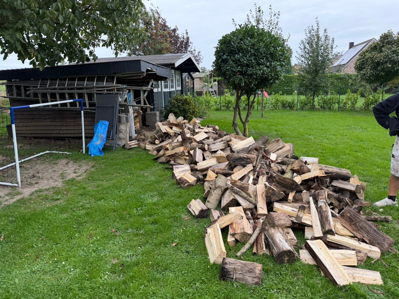 Droog hardhout 33-40-50, Tuin en Terras, 6 m³ of meer, Ophalen, Eikenhout, Blokken
