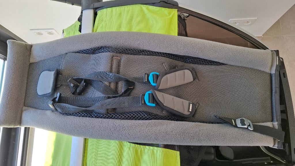 Remorque à vélo Thule Cab 2, Vélos & Vélomoteurs, Accessoires vélo | Remorques, Enlèvement, Comme neuf, Remorque pour enfant, Thule