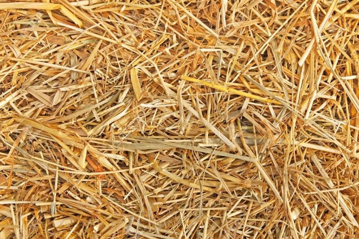 40 grote pakken stro te koop, Zakelijke goederen, Landbouw | Veevoer, Ophalen