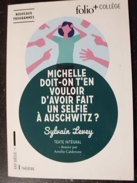 Michelle doit-on t'en vouloir d'avoir fait un selfie à Ausch, Sylvain levey, Enlèvement ou Envoi, Français, Comme neuf