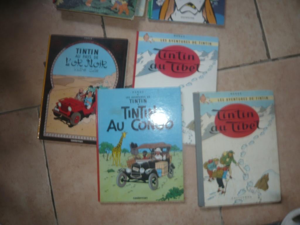 BD---TIN TIN, Ophalen, Gelezen