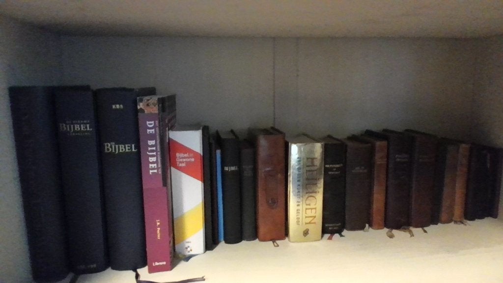 bijbels, Boeken, Godsdienst en Theologie, Ophalen of Verzenden, Gelezen, Christendom | Katholiek