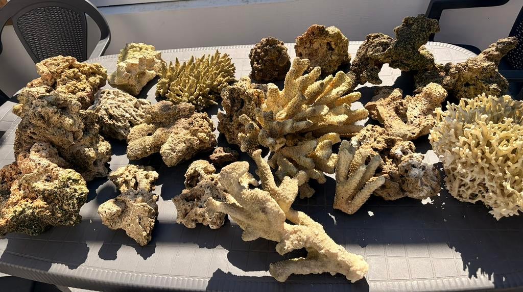 Pierres pour aquarium marin, Enlèvement