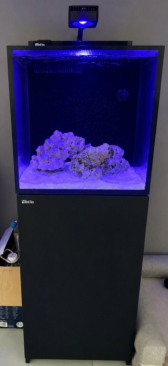 Red sea max nano G2 XL complete reef set-up + extra’s, Dieren en Toebehoren, Ophalen, Red Sea, Gevuld zeewateraquarium, Inclusief deksel