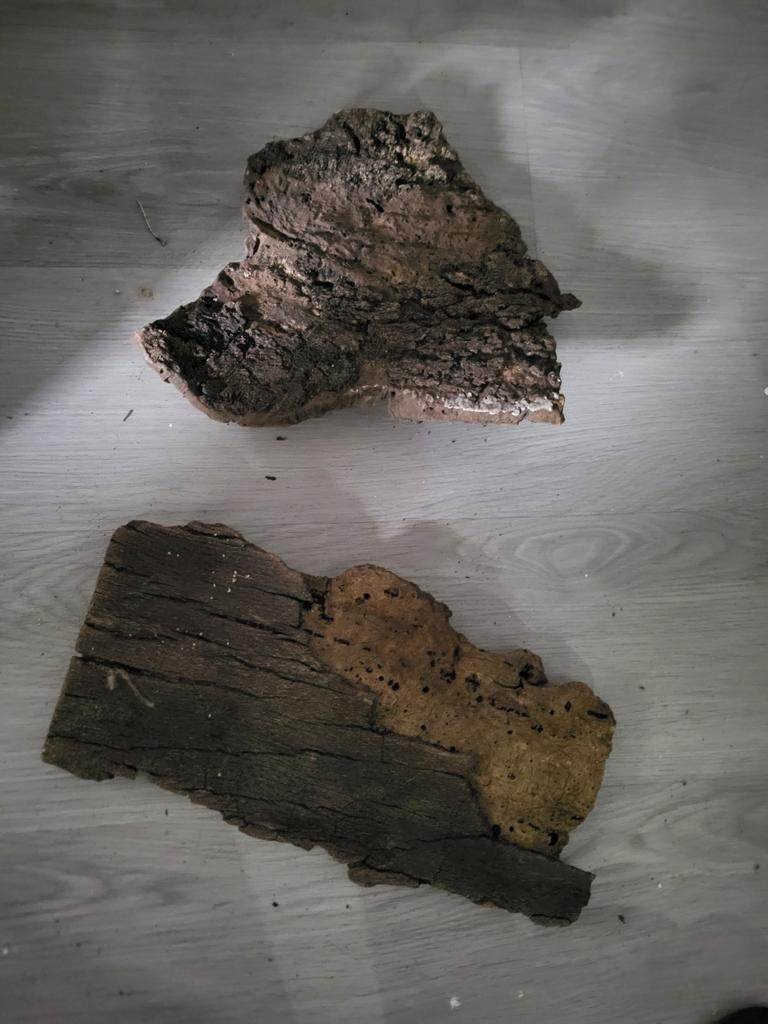 Kurk voor terrarium, Ophalen