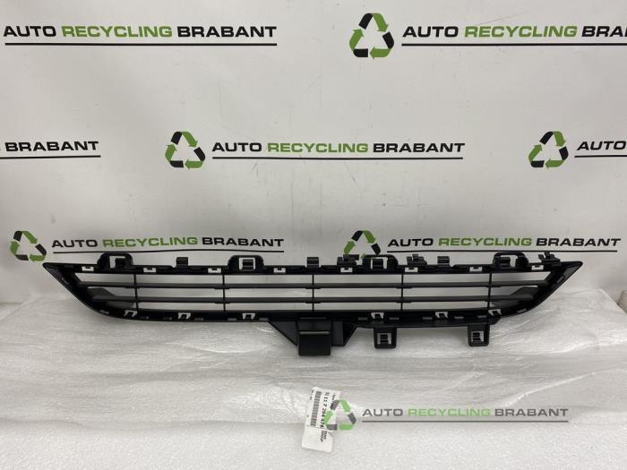 Grille van een BMW X5, Gebruikt, -, -, Ophalen of Verzenden
