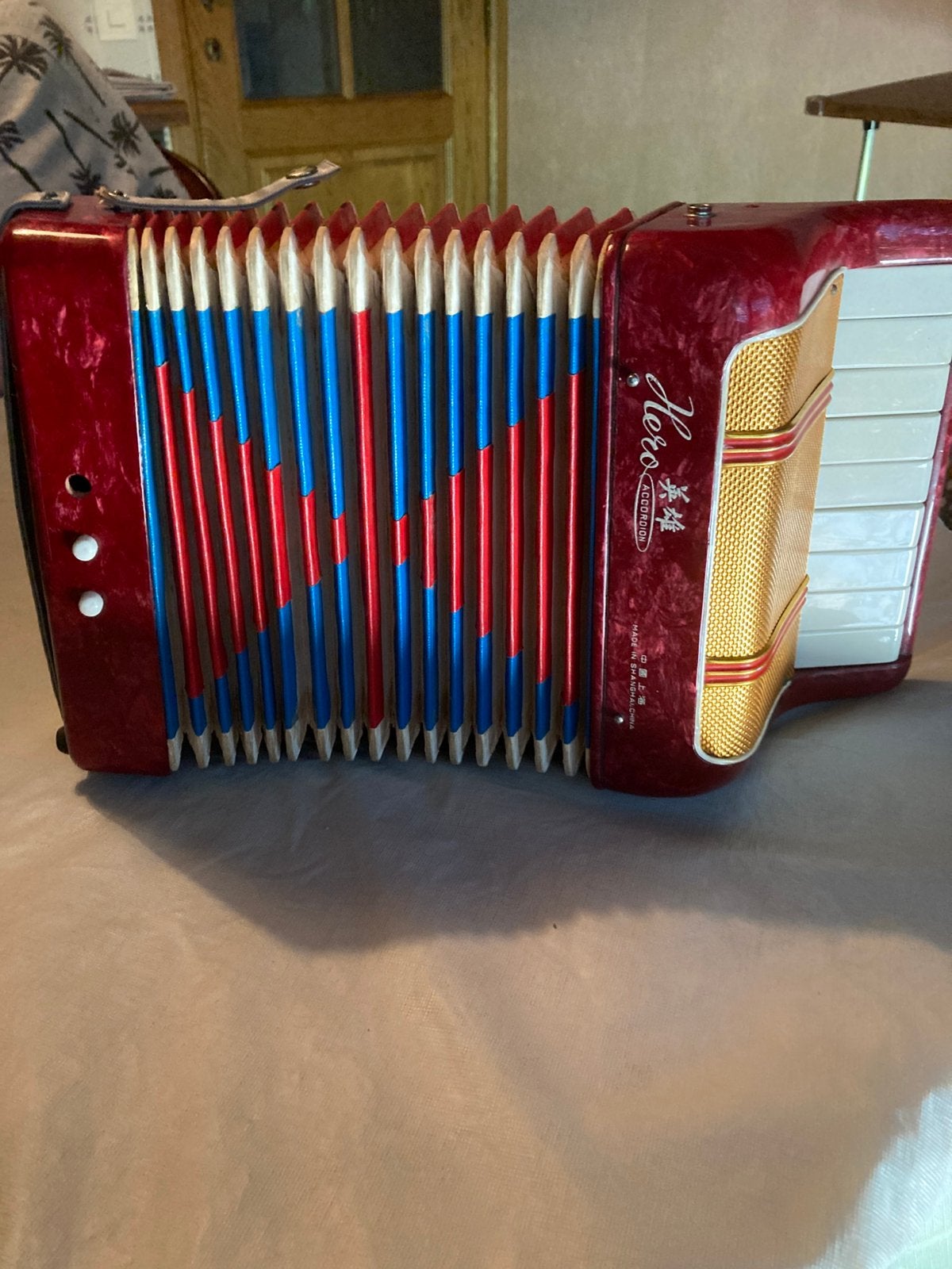 Kinderaccordion, Muziek en Instrumenten, Ophalen, Gebruikt, Toetsaccordeon