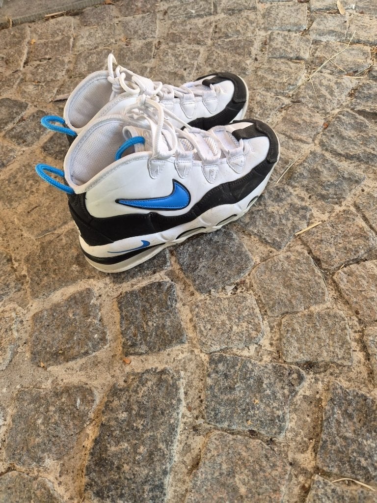 chaussures Nike blanc/bleu taille 40.5, Neuf, Enlèvement, Blanc, Nike