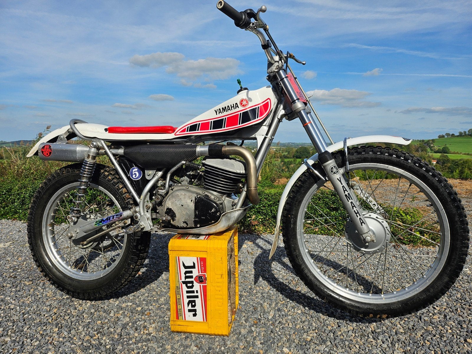 yamaha ty 250 MAJESTY, Motoren, Particulier