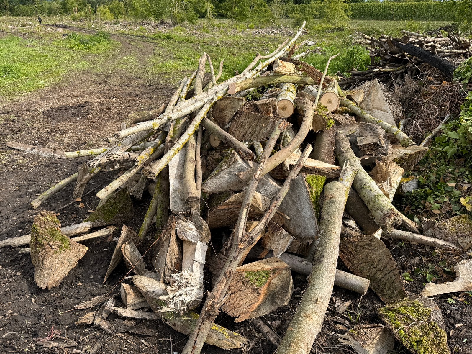 Gratis Brandhout, Enlèvement