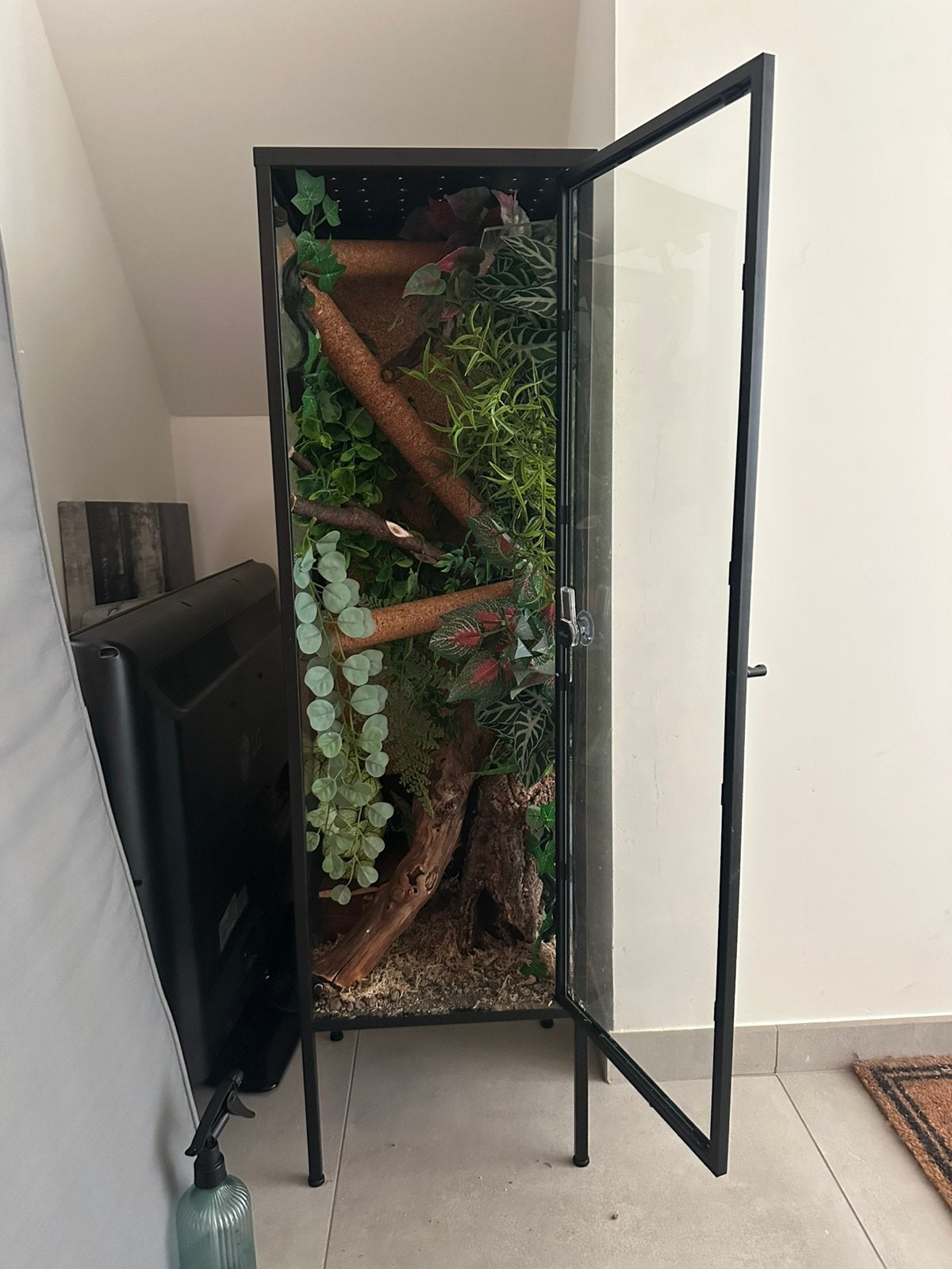Terrarium met wimpergekko (m) + toebehoren, Enlèvement, Utilisé, Terrarium ou Paludarium