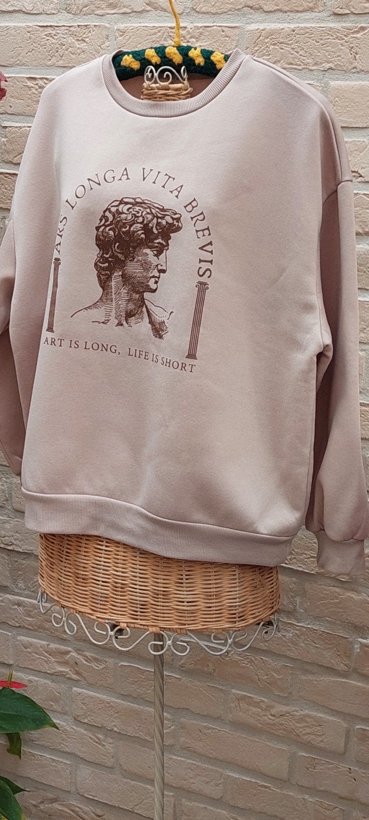trui maat xl shein 63cm van oksel tot oksel vliesstof aan bi, Enlèvement ou Envoi, Autres couleurs, Pull ou Veste, Comme neuf