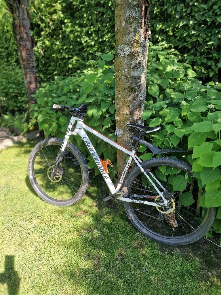 Heren mountainbike Cannondale, Fietsen en Brommers, Gebruikt, 45 tot 49 cm, Schijfrem, Ophalen