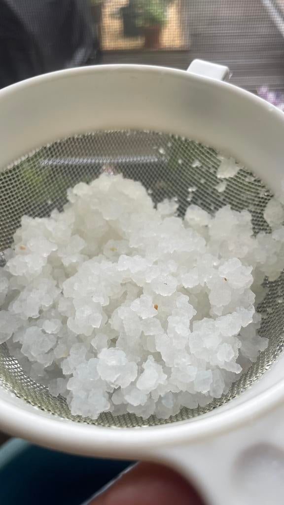 Waterkefir, Diversen, Levensmiddelen, Ophalen