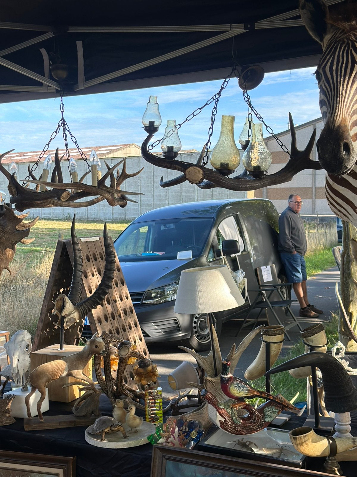 Gewei lusters en lampen, Antiek en Kunst, Ophalen