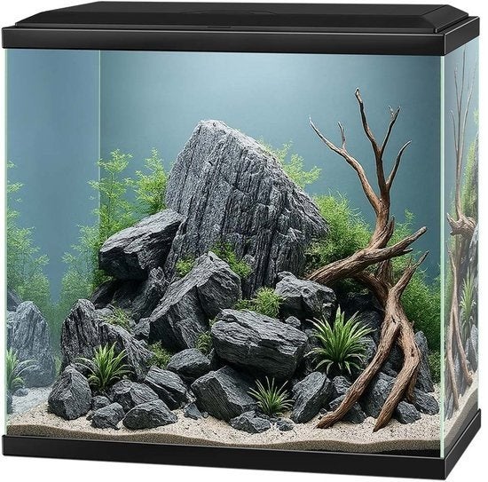2 aquariums te koop 20 euro, Ophalen