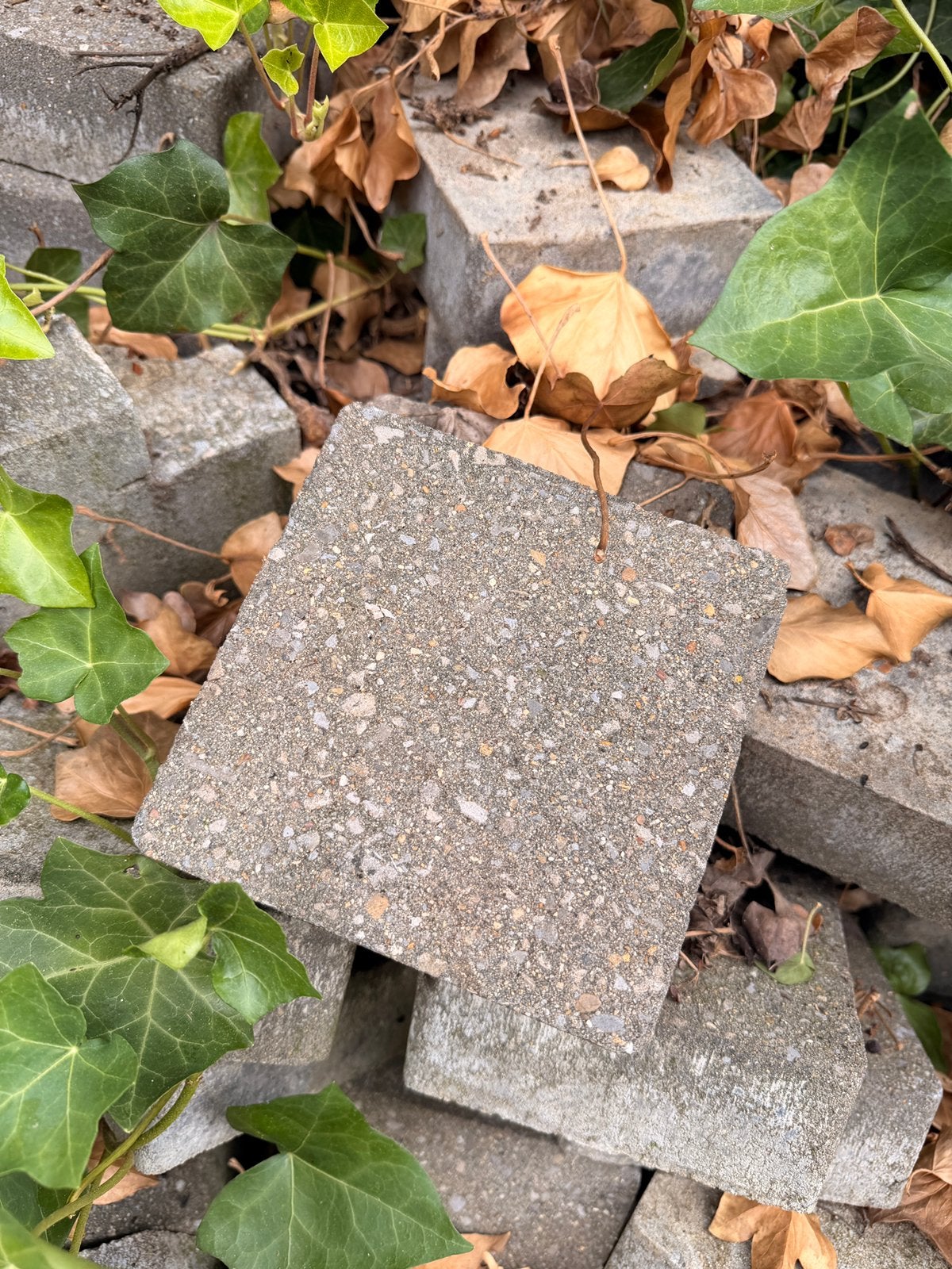Gratis borduren en tegels, Jardin & Terrasse, Enlèvement, Utilisé
