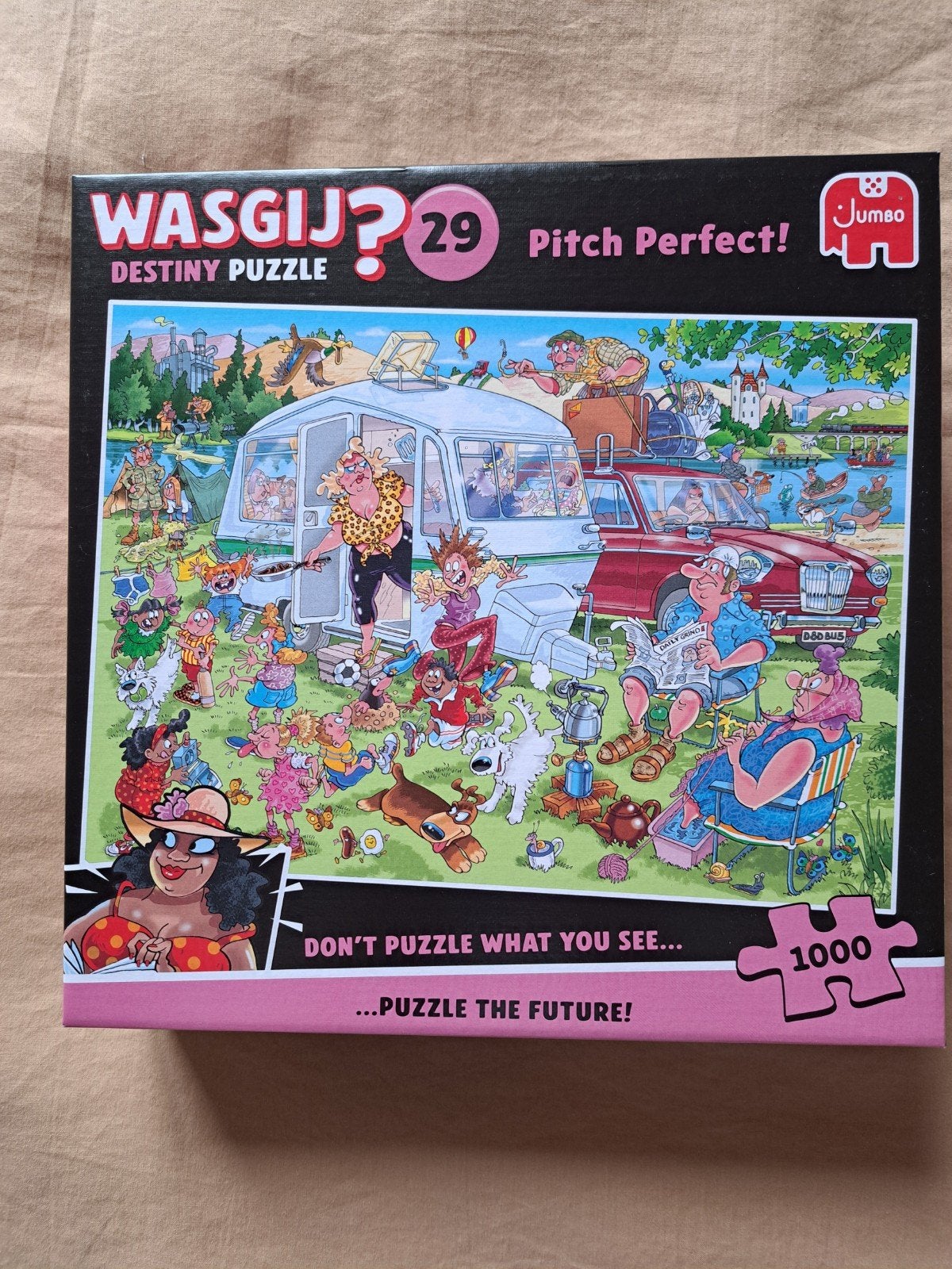 Wasgij puzzel 1000 stukjes, Ophalen