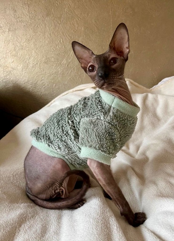 Handmade Kattentrui Sphynx Kat Kitten Poes Korthaar Nakie, Dieren en Toebehoren, Ophalen of Verzenden, Nieuw
