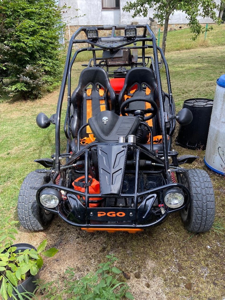 Buggy PGO 250