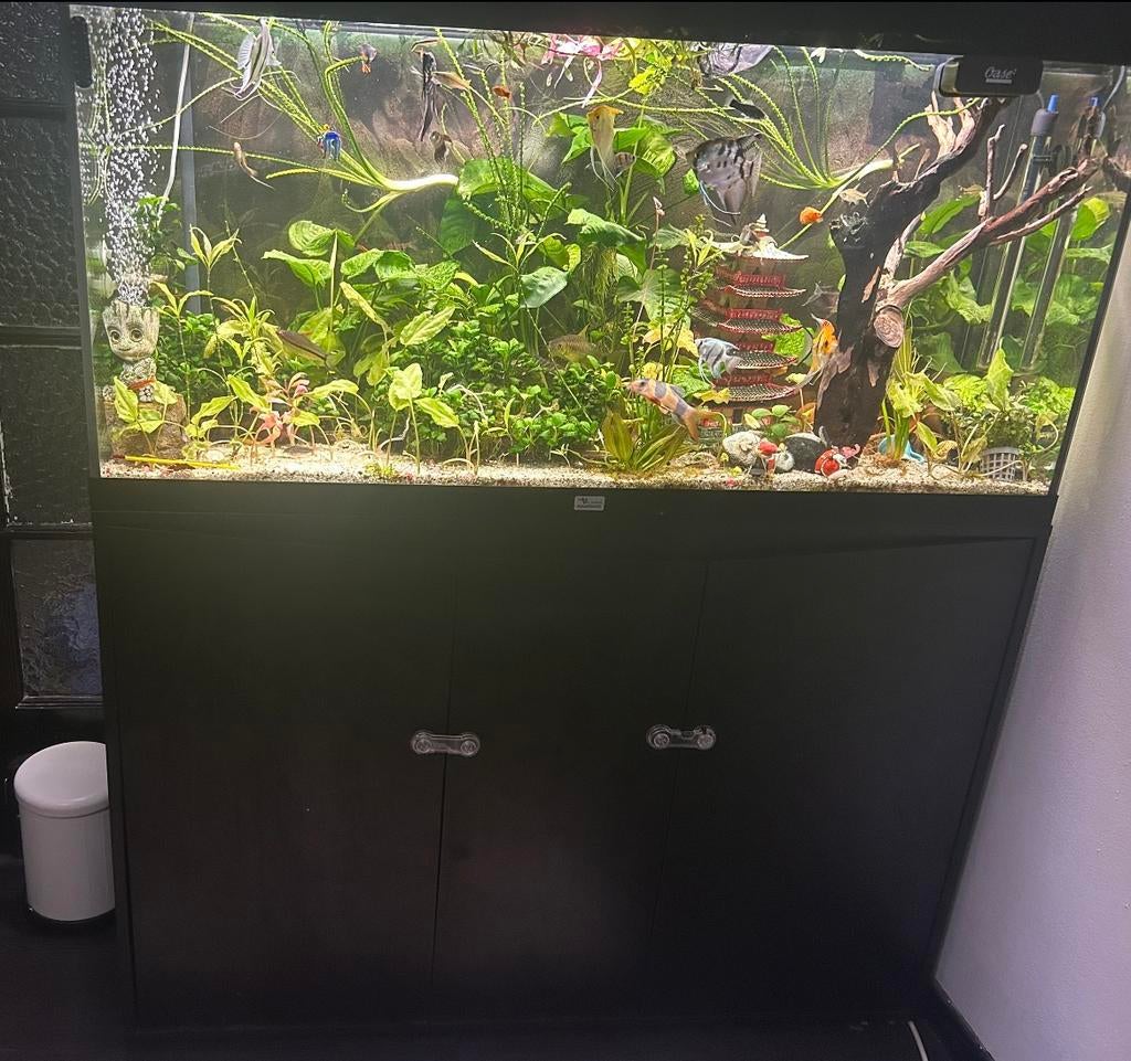 aquarium AQUATLANTIS, Dieren en Toebehoren, Ophalen, Zo goed als nieuw, Filter, Aquatlantis