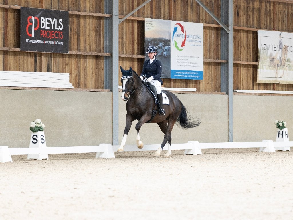 Instructrice aangeboden, Dieren en Toebehoren, Niet van toepassing