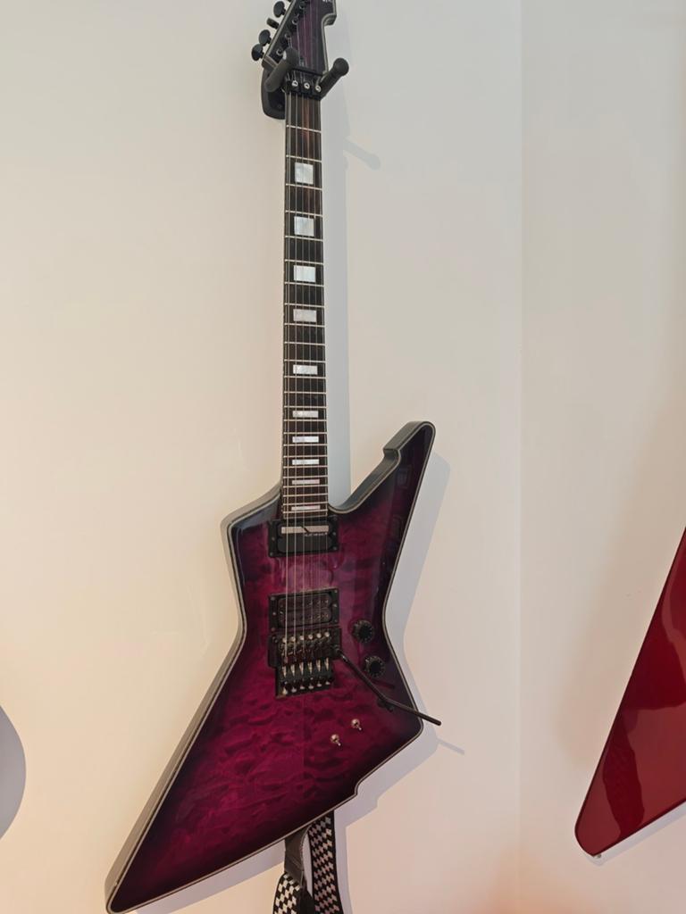 Schecter diamomt series, Musique & Instruments, Instruments à corde | Guitares | Électriques, Enlèvement