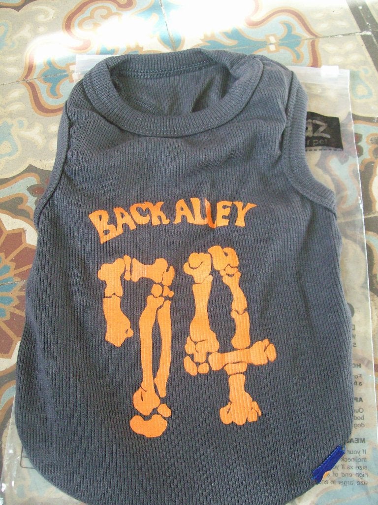 Dog Sweaters dobaz, Back alley, S , Nieuw in verpakking., Dieren en Toebehoren, Hondenkleding, Overige merken, S, Hondentrui, Nieuw