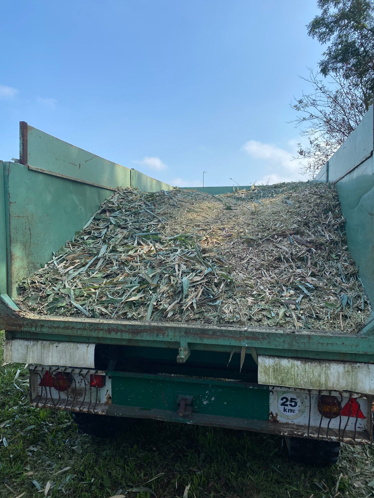Gratis Hakselhout - gratis levering puurs, Tuin en Terras, Ophalen