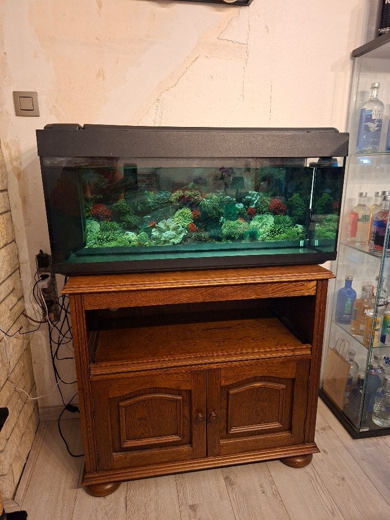 Aquarium, Enlèvement, Utilisé, Aquarium vide