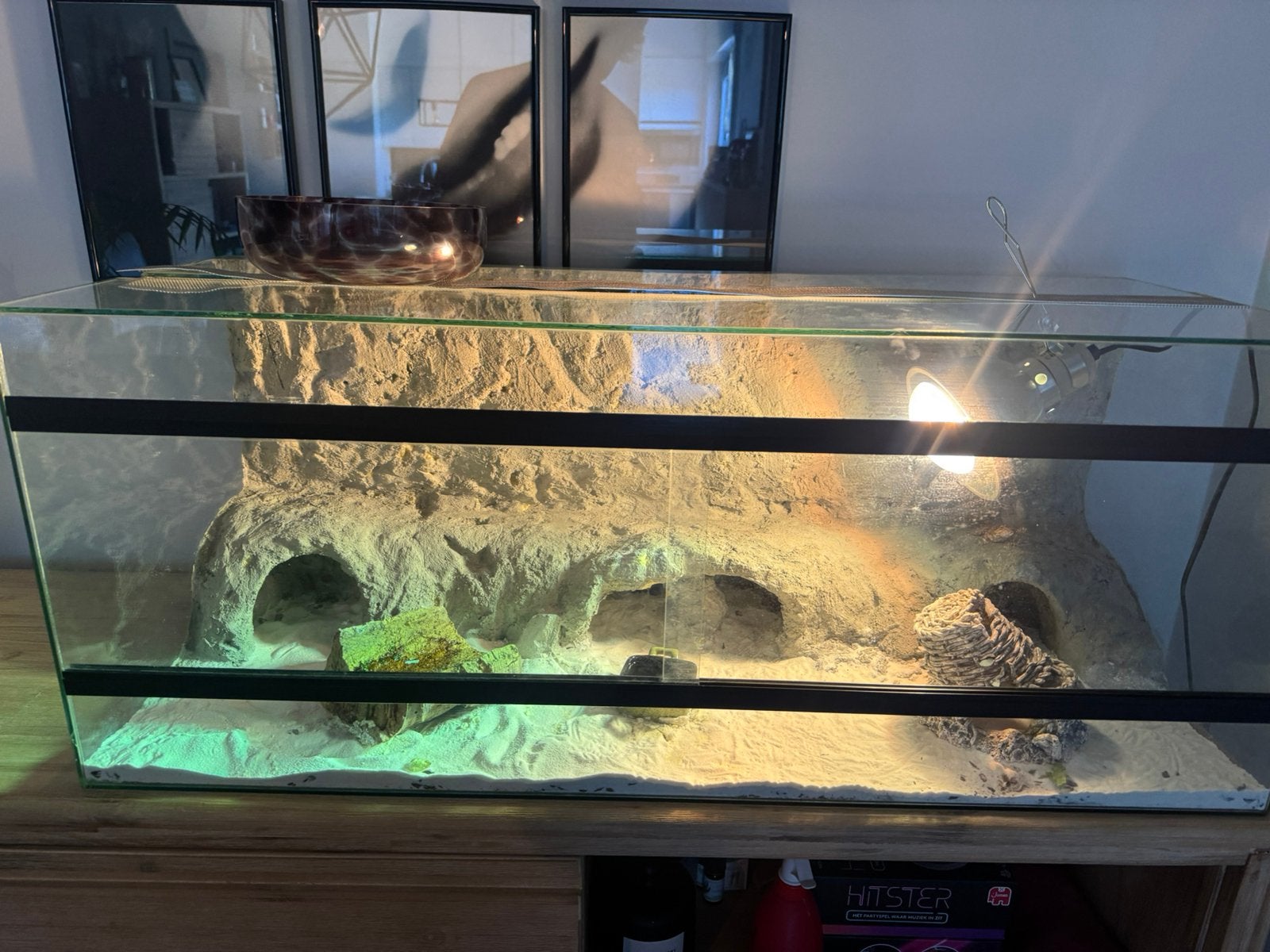 terrarium, Ophalen of Verzenden, Zo goed als nieuw