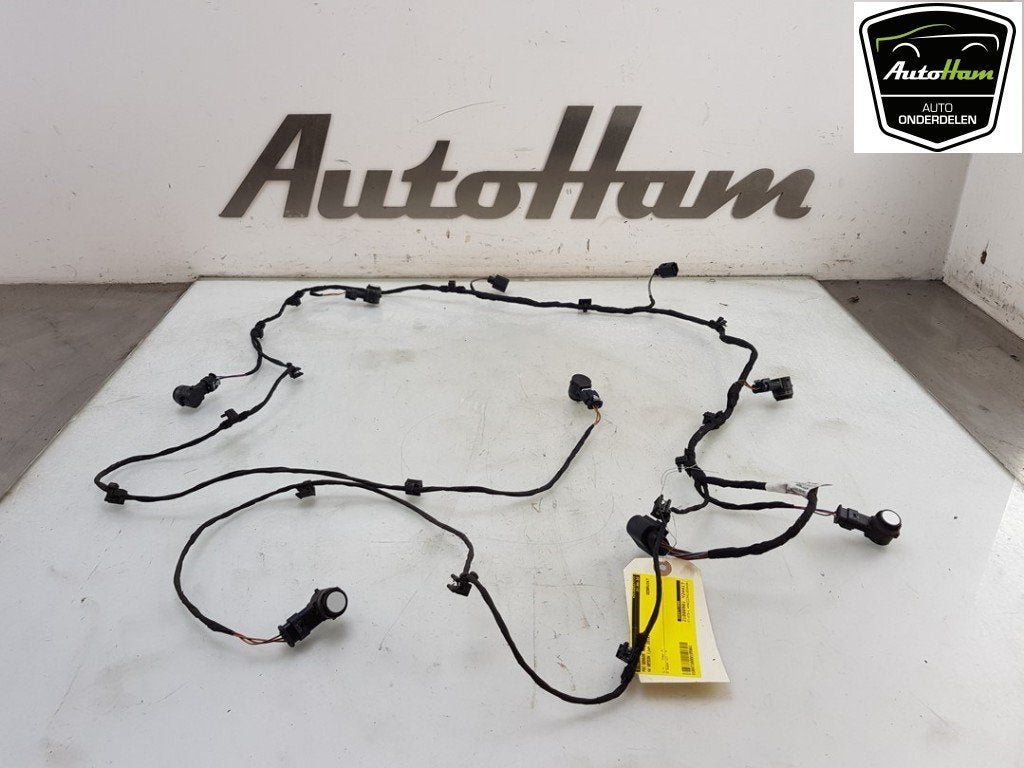 ENSEMBLE CAPTEURS AIDE AU STATIONNEMENT Arteon (3HAB), Dhr. J. Ham, Volkswagen, Administratie@autoham.nl, Utilisé