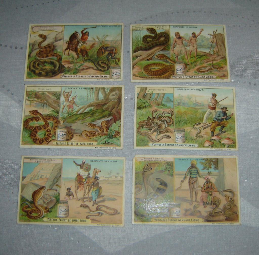 Chromos Liebig S748 avec pots, Collections, Avant 1940, Gravure, Utilisé, Autres sujets/thèmes