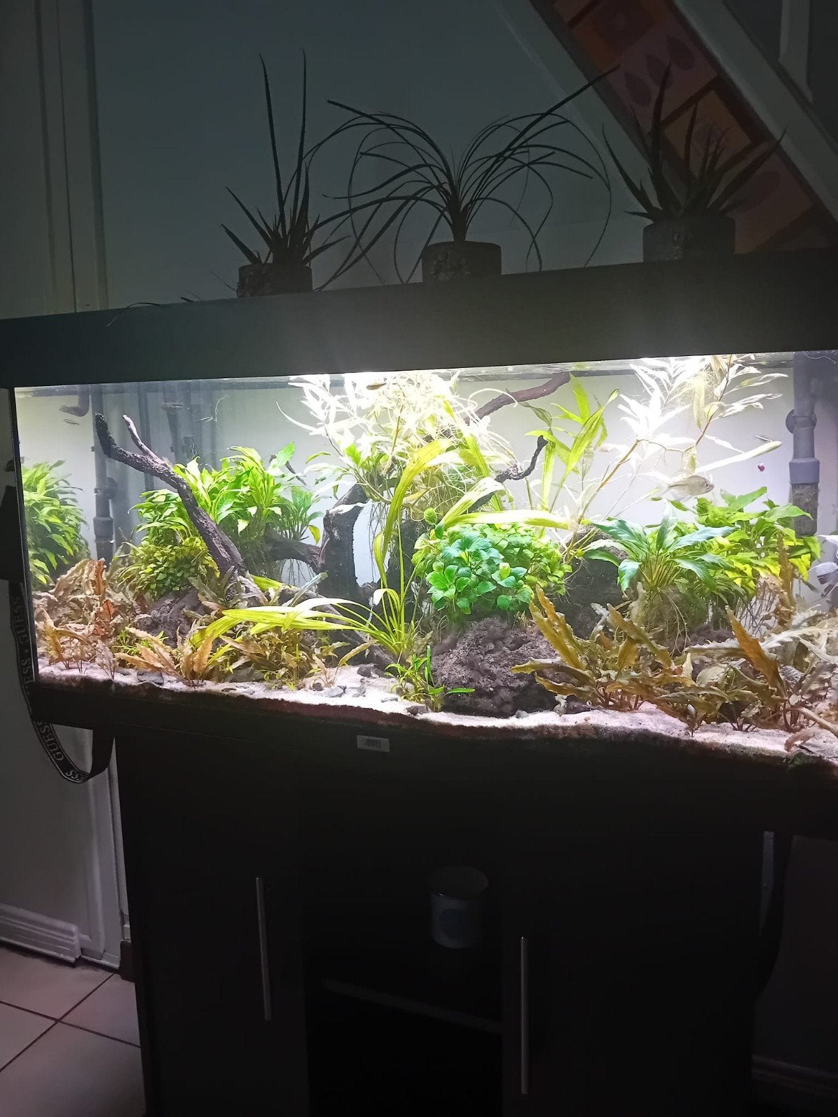 juwel rio, Dieren en Toebehoren, Ophalen, Decoratie, Gebruikt, Verwarming