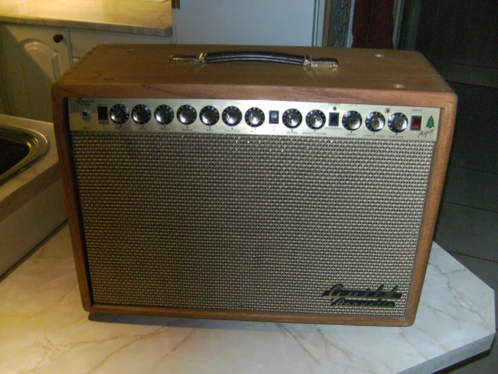 Zeer mooie Acoustische Versterker GUILD, Musique & Instruments, Enlèvement, Comme neuf, Moins de 500 watts, Autres types