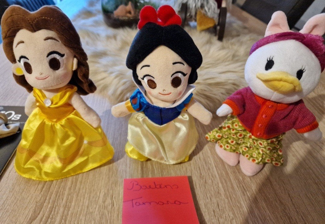 Disney pluche, Enlèvement