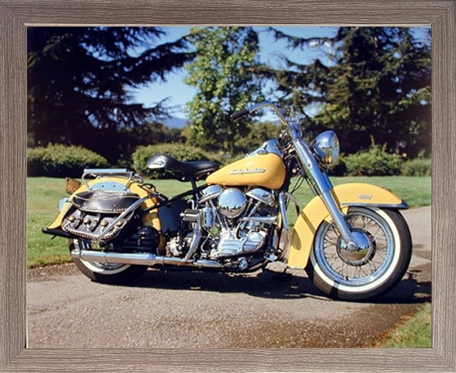 Harley Panhead 1950, Motoren, Particulier, 1200 cc