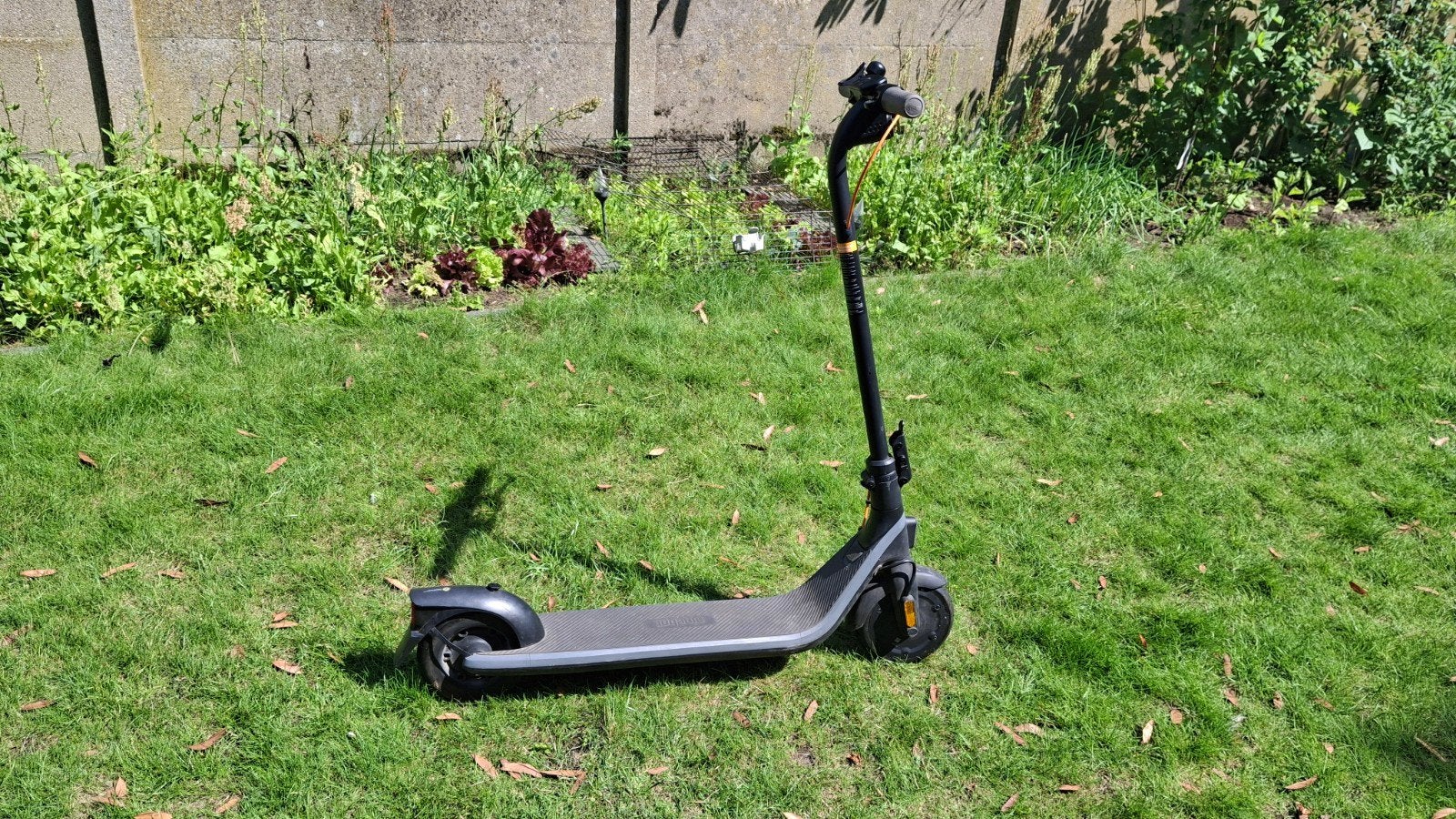 Ninebot, Ophalen