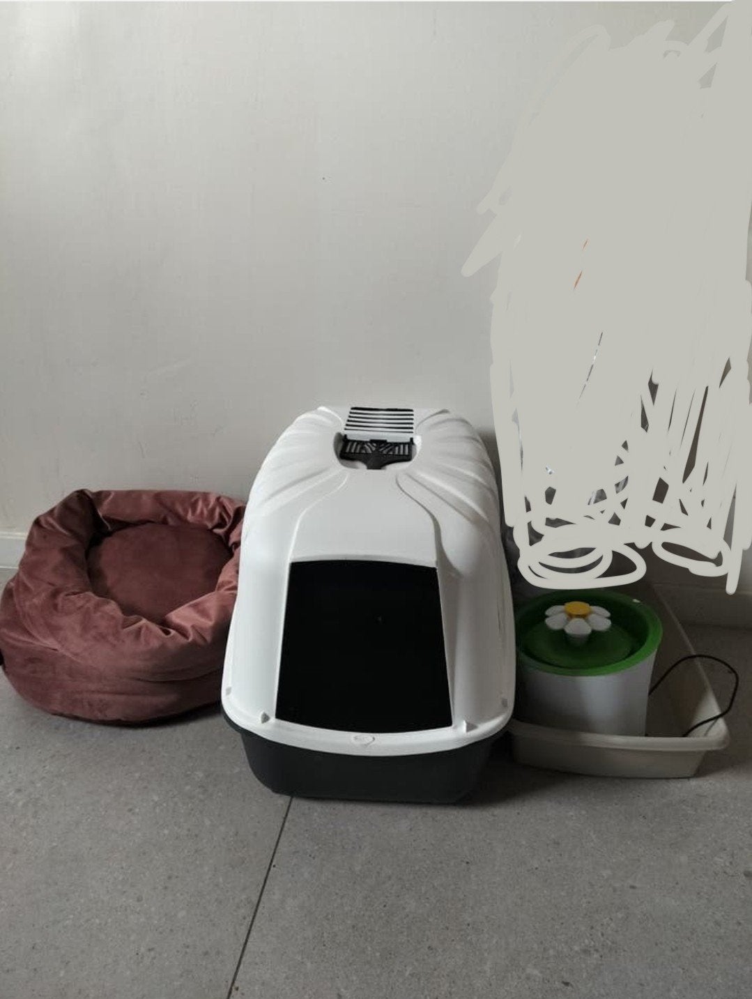 kattenpakket, Dieren en Toebehoren, Ophalen, Open