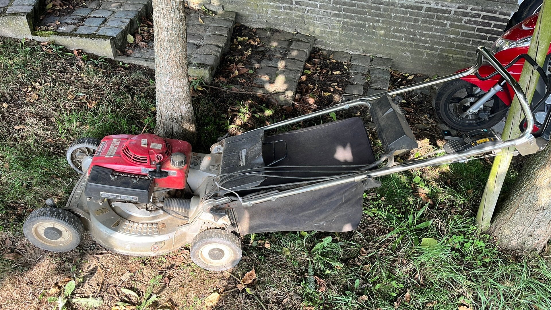 Honda HR194, Enlèvement, Utilisé, Tondeuses à gazon à essence