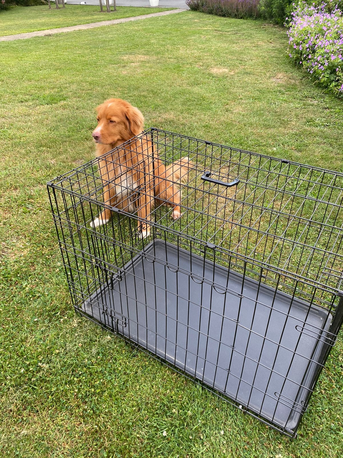 Bench medium hond, Dieren en Toebehoren, Ophalen, Zo goed als nieuw