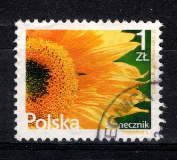 POLEN Yt. 4431 gestempeld 2015, Verzenden, Polen, Gestempeld
