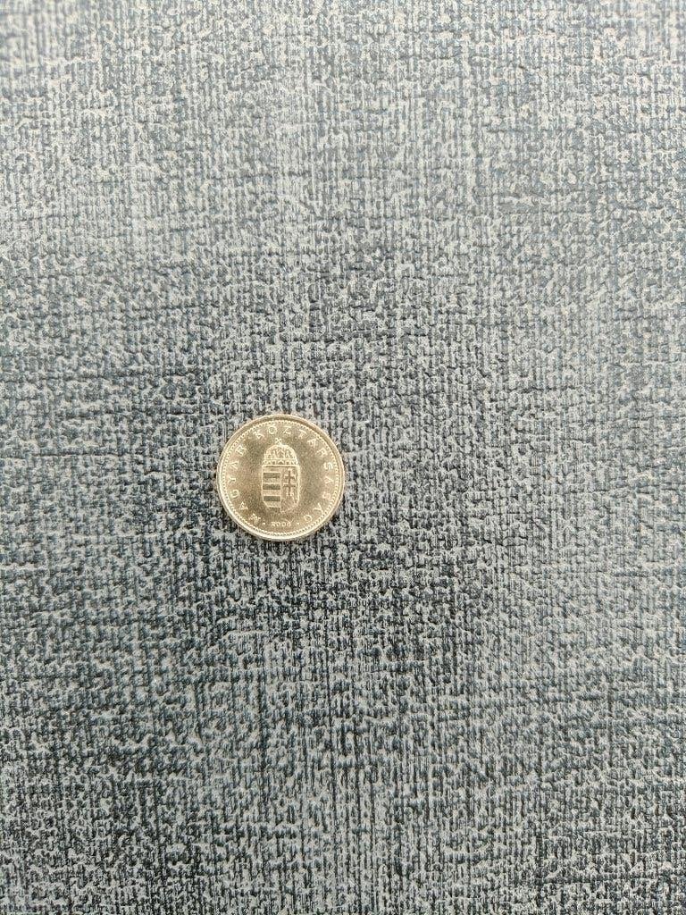Hongaarse munt van 1 Forint. Jaar: 2000., Postzegels en Munten, Ophalen of Verzenden, Postfris